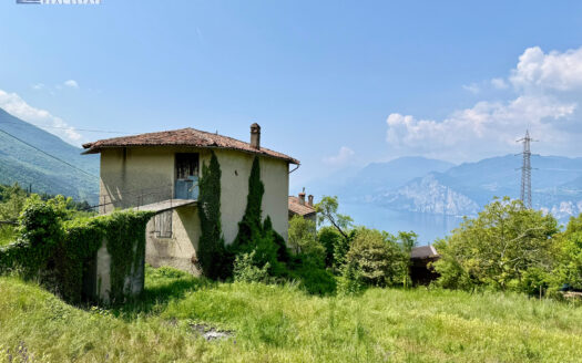 RUSTICO “FIORI DEL BALDO”